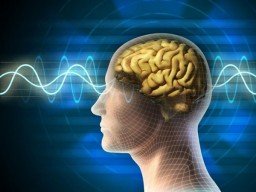 Что такое смекалка и зачем она нужна Что такое смекалка и зачем она нужна