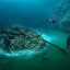 Подводная река на дне Чёрного моря