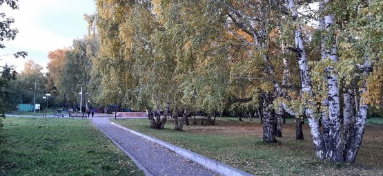 Осень в парке им. Горовца Полысаево