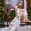 Русская псовая борзая собака, минусы и плюсы